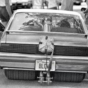 Meet your Posher, Steven b